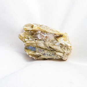 Muscoviet ruw - 288gr