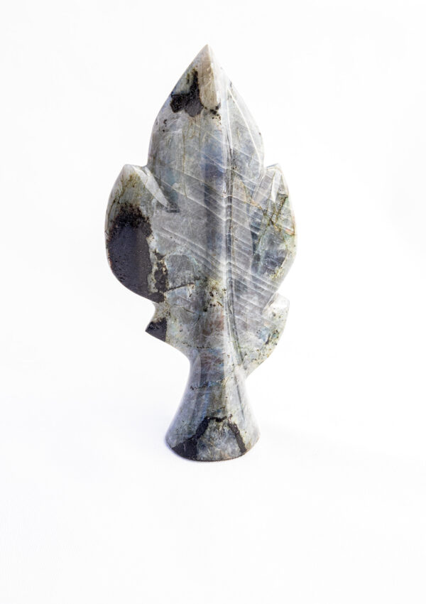 Labradoriet bladvorm - Madagaskar - 234gr