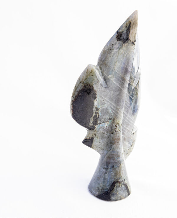 Labradoriet bladvorm - Madagaskar - 234gr