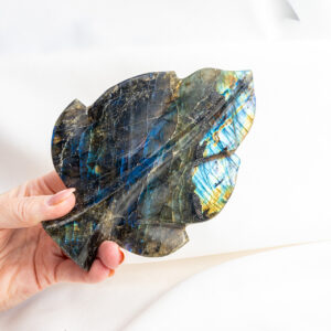 Home 39 Labradoriet bladvorm - Madagaskar - 452gr