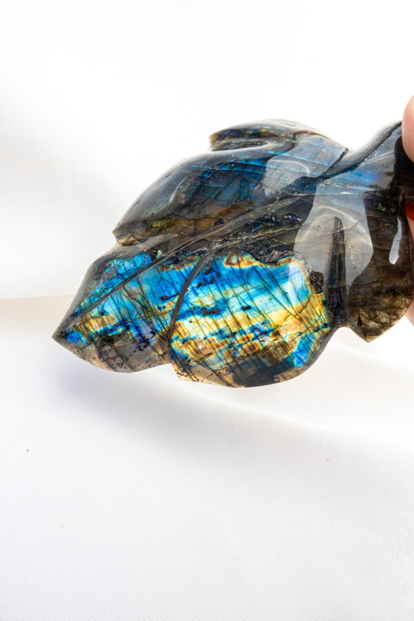 Labradoriet bladvorm - Madagaskar - 452gr 3 Labradoriet bladvorm - Madagaskar - 452gr