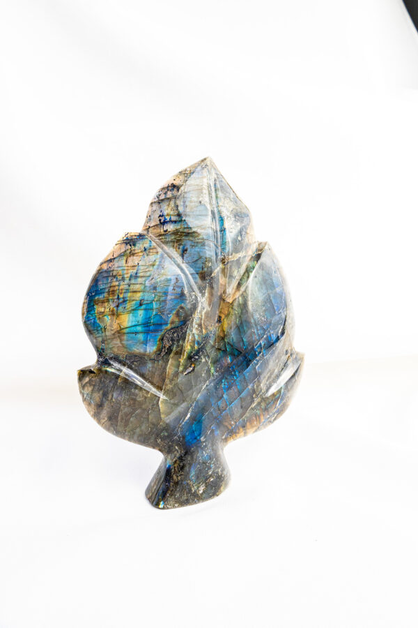 Labradoriet bladvorm - Madagaskar - 452gr 2 Labradoriet bladvorm - Madagaskar - 452gr