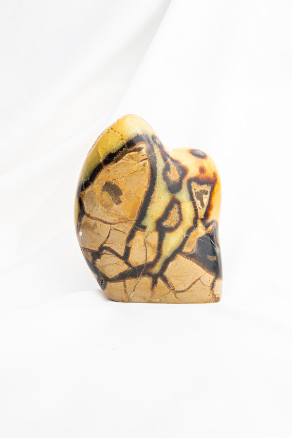 Septarie sculptuur - 1.226gr 31 Septarie sculptuur - 1.226gr