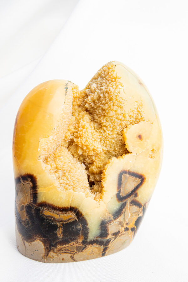 Septarie sculptuur - 1.226gr 32 Septarie sculptuur - 1.226gr