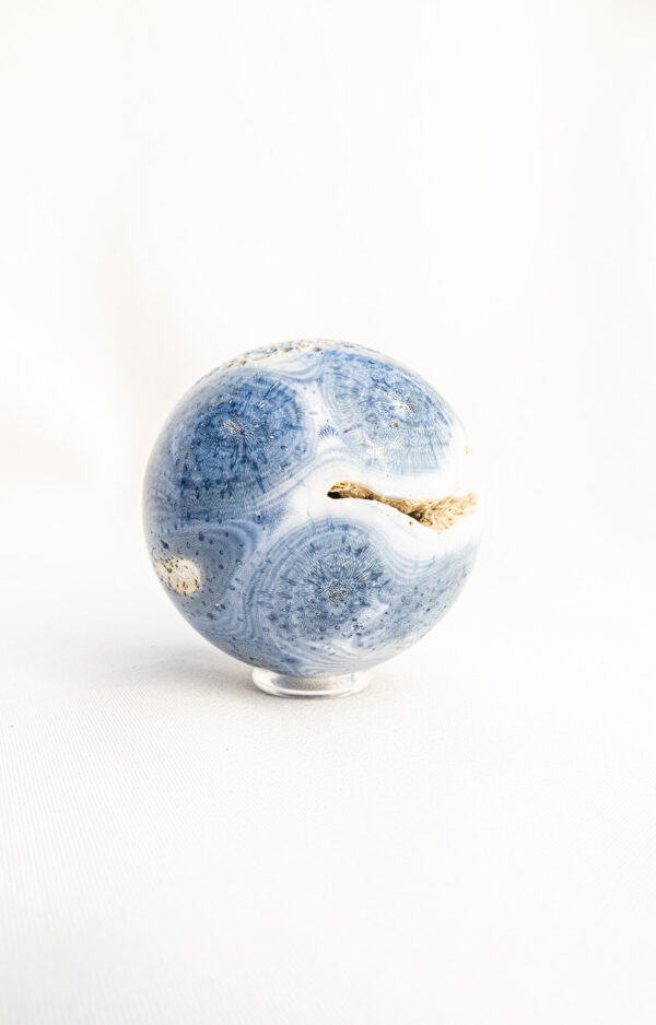 Blauwe Koraal bol - 238gr 25 Blauwe Koraal bol - 238gr