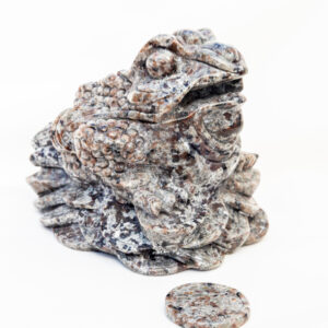 Yooperliet geldkikker - 1.148gr